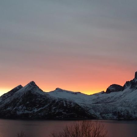 Senja, Husoy I Senja. Leilighet Med Utsikt Over Fjord Og Fjell Tofta Dış mekan fotoğraf