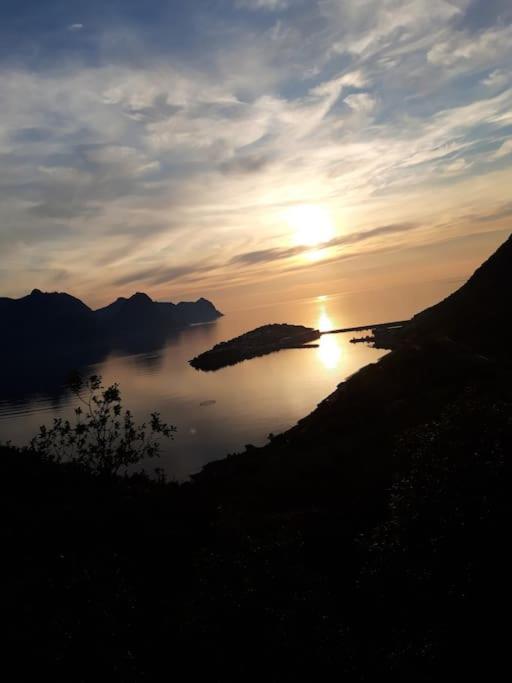 Senja, Husoy I Senja. Leilighet Med Utsikt Over Fjord Og Fjell Tofta Dış mekan fotoğraf