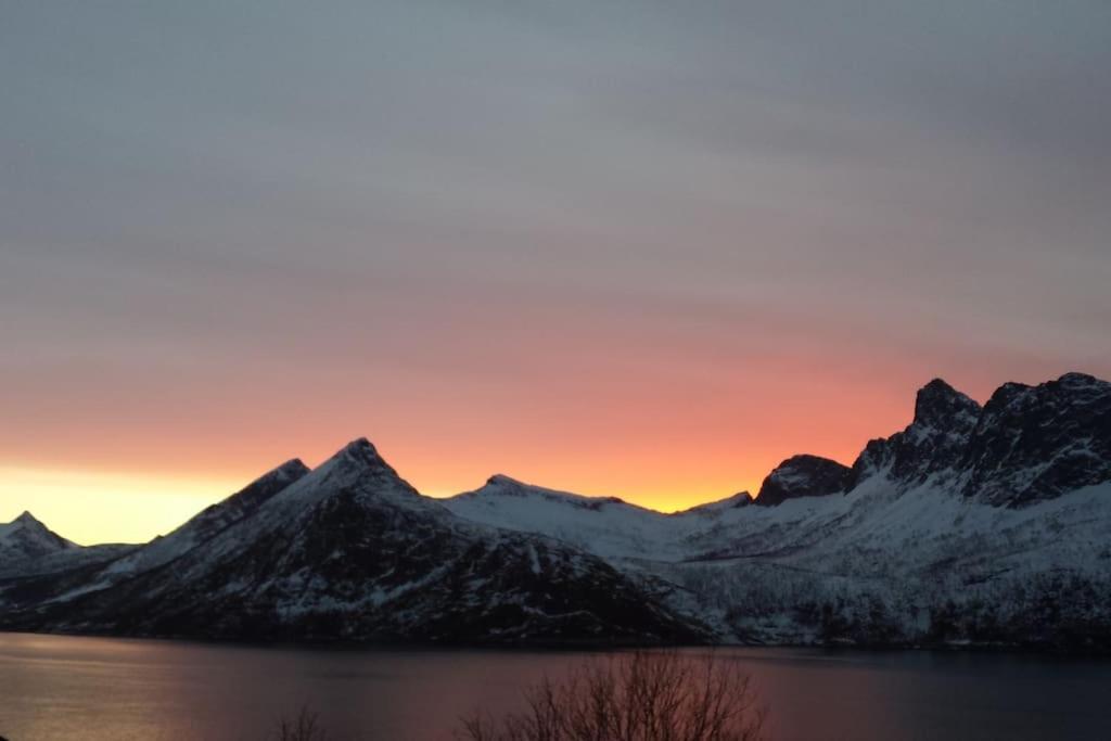 Senja, Husoy I Senja. Leilighet Med Utsikt Over Fjord Og Fjell Tofta Dış mekan fotoğraf